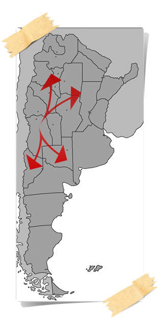 cobertura
